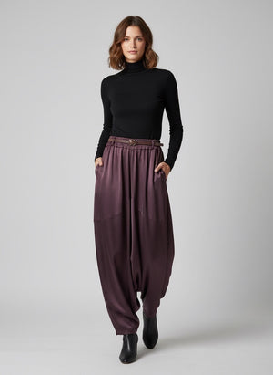 Ah26,105sept Pantalon prune
