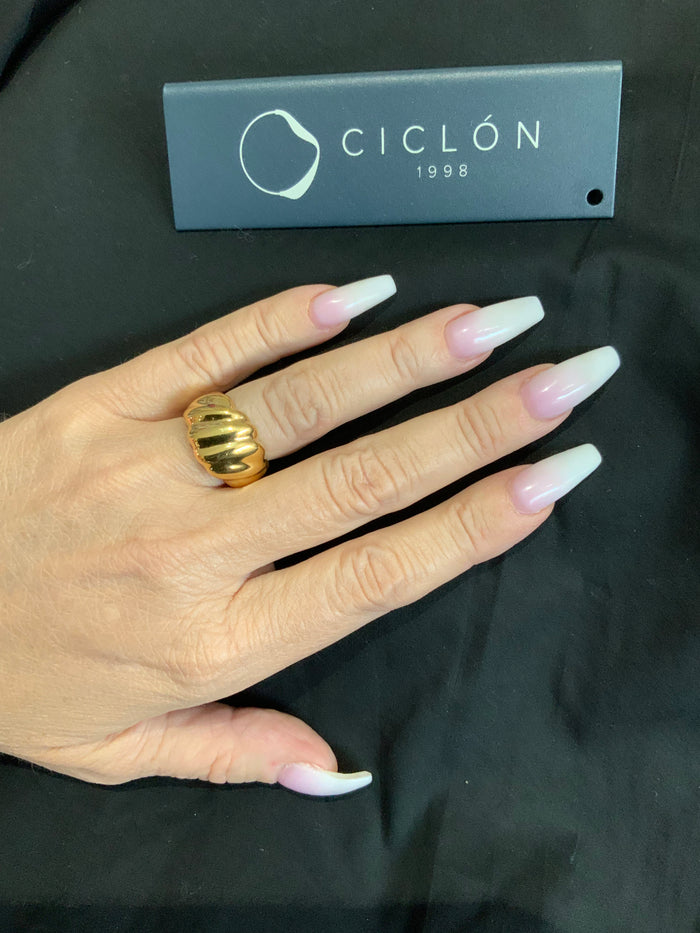 Ciclon Bague 1or